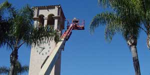 Bee Removal San Bernardino CA Difficult bee removal using a 
      manlift.