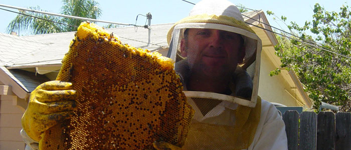 San Bernardino Bee Removal Guys Tech Michael