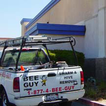 San Bernardino Bee Removal Guys Service Truck